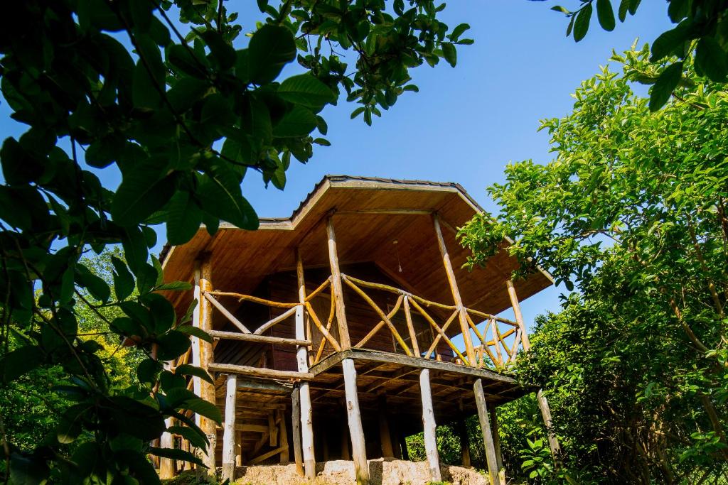 namunyonyi resort