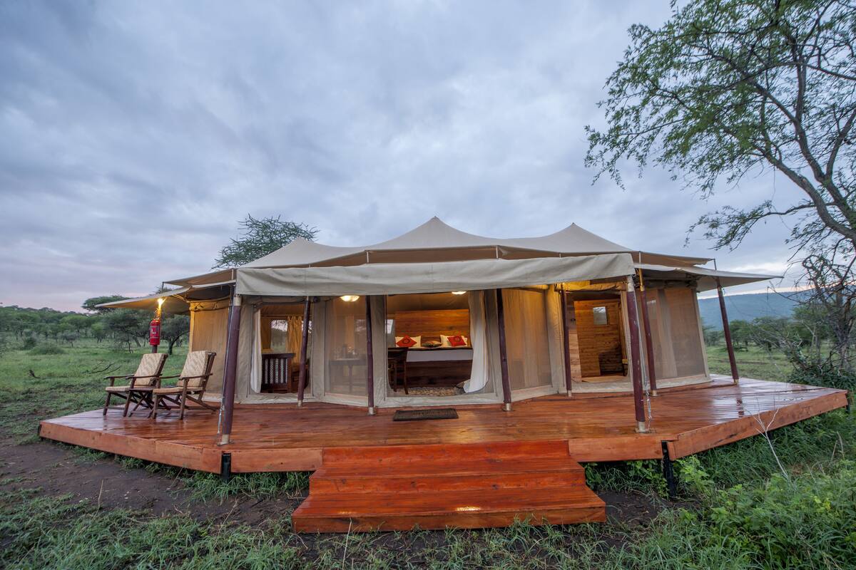 serengeti acacia bliss